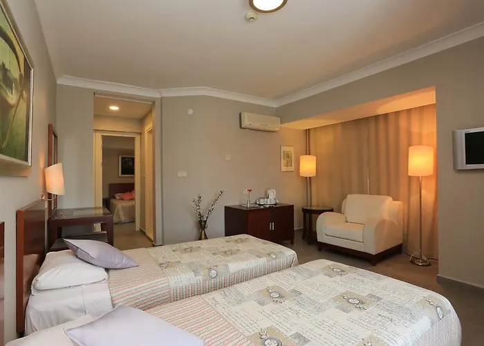 Summer 호텔 아키아카