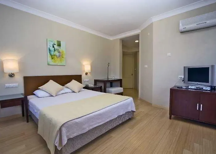 Summer 호텔 아키아카